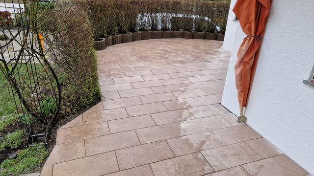 Plattenbelag mit Hecke am Haus