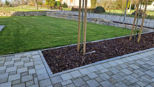 Pflasterweg mit Baumpflanzung