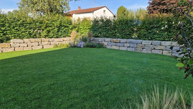 Rasenfläche mit Natursteinmauer und Hecke